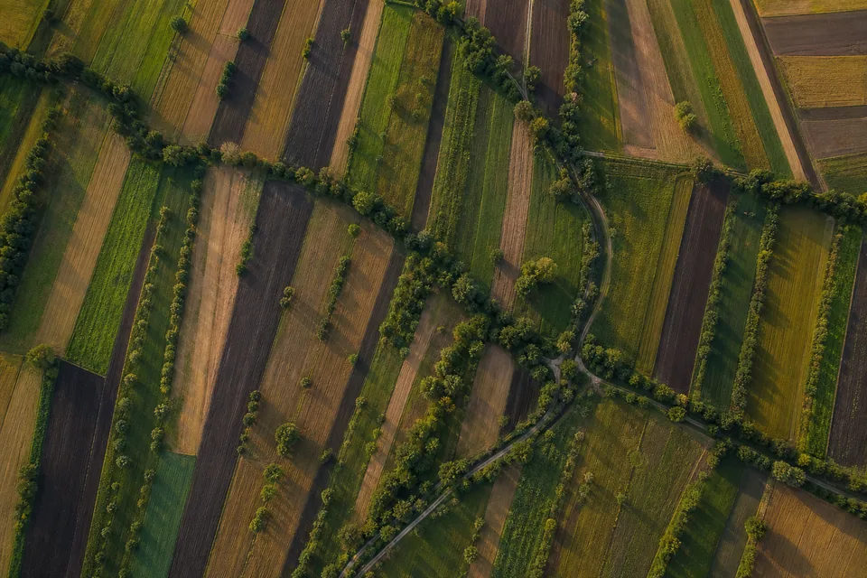 Top-down aerial view of a patchwork of fields divided by hedgerows and a winding lane